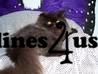 Cats for Sale