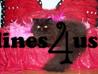 Cats for Sale