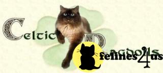 Kittens for Sale in Virginia