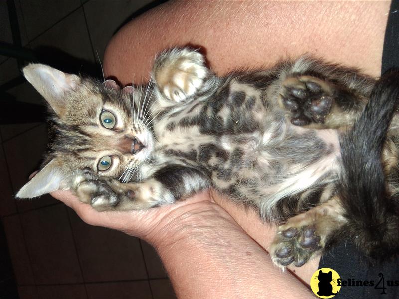 a person holding a small animal