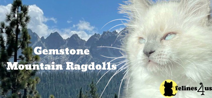 Mountain Ragdolls
